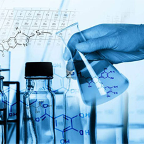 全社會樹立科學的成才觀